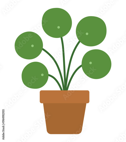 Chinese Money Plant Flat Illustration