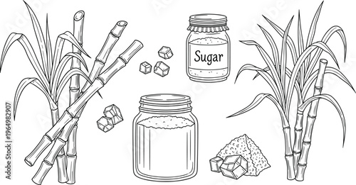 Sugar Cane and Sugar Products Icon Set with Cane Stalks, Sugar Jar, and Crystals for Agriculture, Food Processing, and Sweetener Design Projects