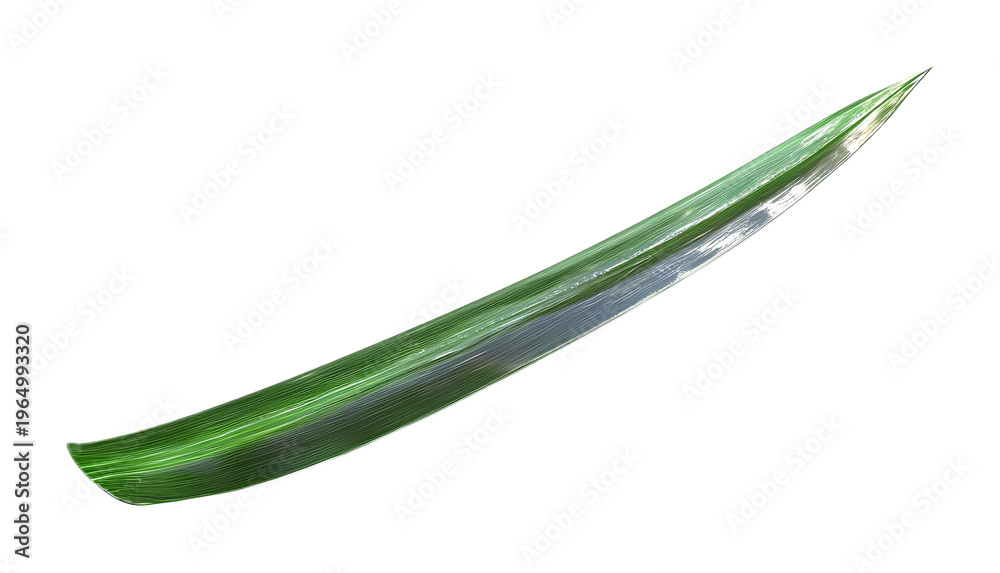 Fototapeta premium Grass Blade Isolated on White Background - Fresh Greenery