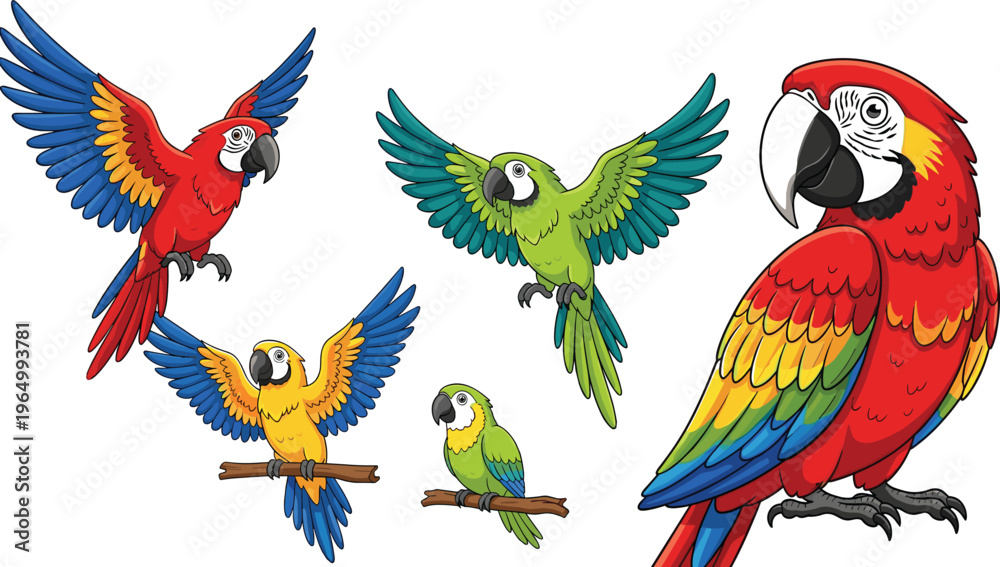 Obraz premium Colorful Parrot Vector Collection with Scarlet Macaw, Blue-and-Yellow Macaw, and Green Parrot Illustrations, Flying and Perched Poses, Tropical Exotic Birds for Digital and Educational Designs