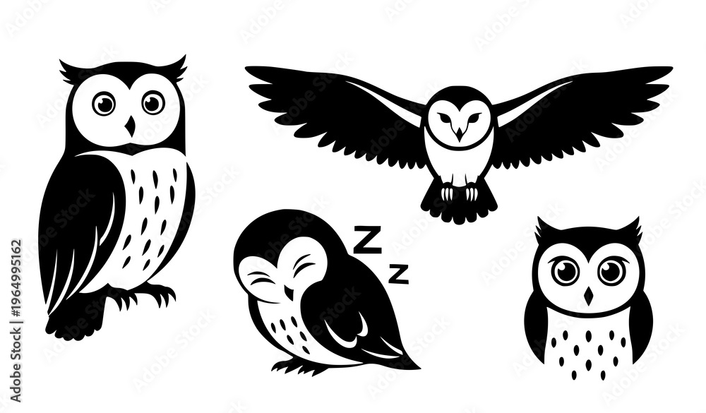 Obraz premium A set of four black and white owl illustrations in different poses