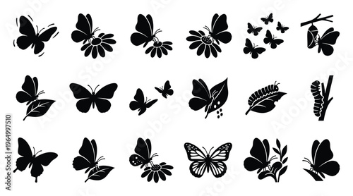 A comprehensive set of butterfly and caterpillar silhouettes depicting life cycle stages and natural interactions for educational materials or decorative graphic elements