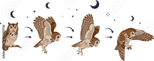 Owl Flight Sequence Vector Illustration Showing Stages of Takeoff, Wing Movement, and Gliding at Night with Moon and Stars for Wildlife, Nature, and Educational Designs