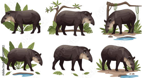 Tapir Animal Illustration Set with Natural Poses in Jungle, Forest, and River Environments for Wildlife, Nature, and Tropical Design