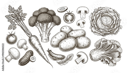 A collection of fresh organic vegetables and fungi presented in a detailed vintage hand sketched style suitable for healthy eating concepts culinary books or grocery store promotions
