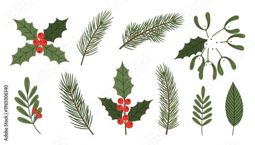 Collection of traditional winter holiday plants including holly with red berries, pine tree branches, and mistletoe for seasonal greeting and decoration purposes