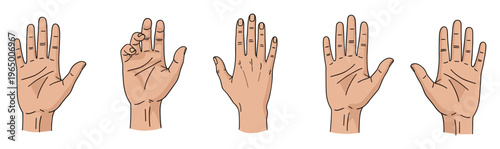 Collection of diverse human hand poses displaying various gestures and anatomical views useful for medical education, communication studies, and anatomical diagrams
