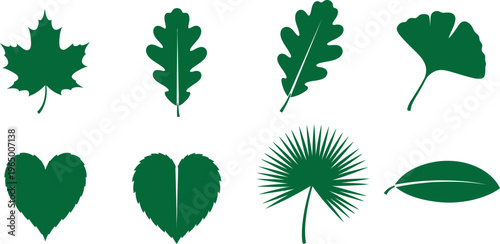 Collection of various green leaf shapes and types