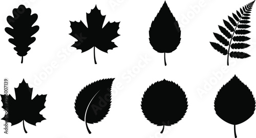 Collection of various leaf silhouettes on white background