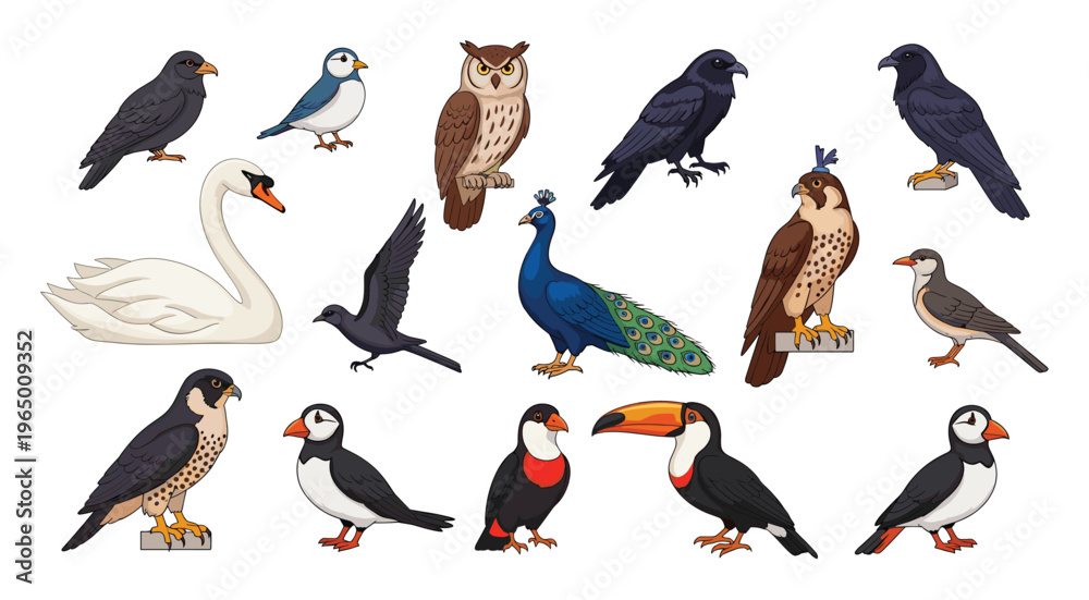 Naklejka premium A comprehensive assortment of various bird species showcasing a majestic swan, a wise owl, a vibrant peacock, powerful falcons, and other avian wildlife, ideal for naturefocused education