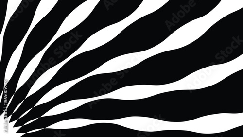 Abstract background with flowing curved white rays emanating from the bottom left corner creating a dynamic organic sunburst effect for retro and modern designs
