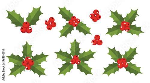 Festive green holly leaves with vibrant red berries suitable for seasonal holiday decoration, greeting products, winter events, and celebratory graphic design projects