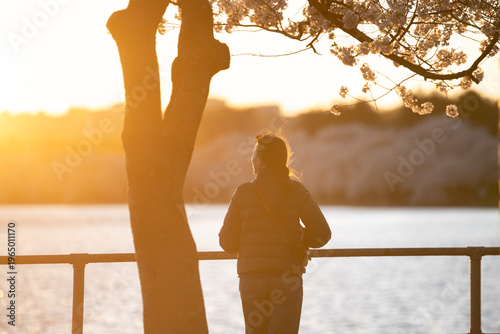 Silhouette of Woman at Tidal Basin in Washington DC