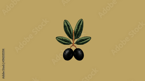 Illustration of a sprig of olives, featuring two black fruits and green leaves on a warm background