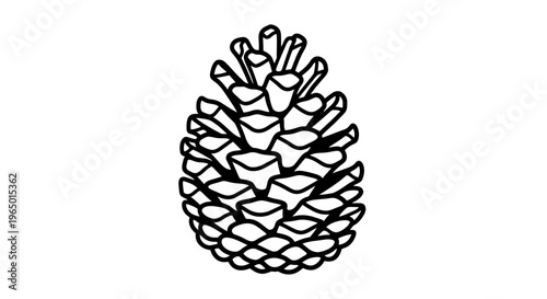 Pine cones isolated on white background with natural brown texture and decorative seasonal feel