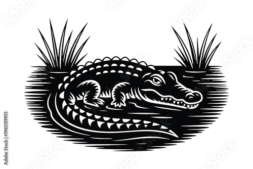 Black and white alligator in swamp with grass reptile wildlife