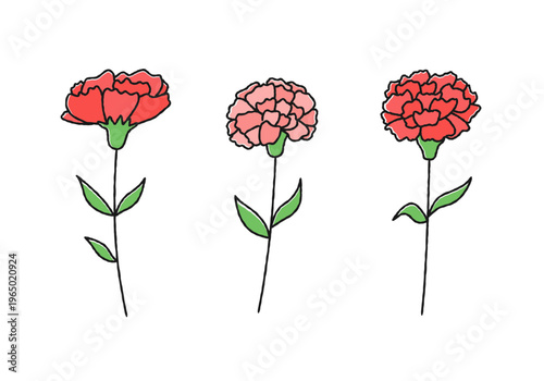 カーネーションの手描きイラストセット