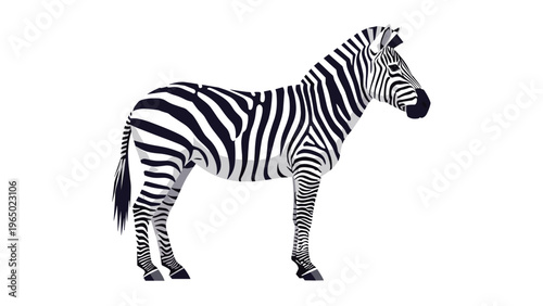 Side view of a majestic zebra shows off its striking black and white striped coat against a plain white background.