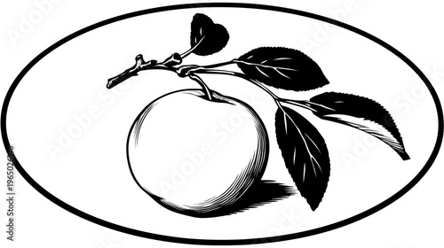 A black and white illustration of an apple with leaves and stem within an oval