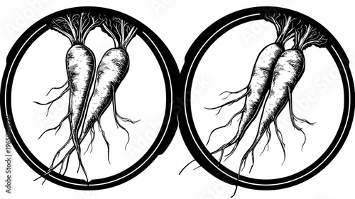 Two pairs of carrots inside black circles, roots dangling. Monochrome illustrations, simple artistic