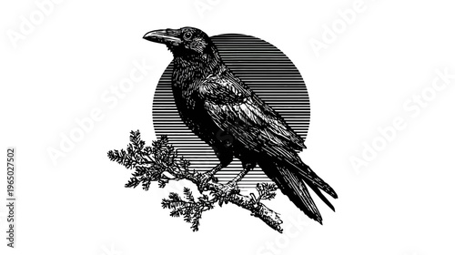 A black and white illustration of a crow perched on a tree branch, with a circle backdrop