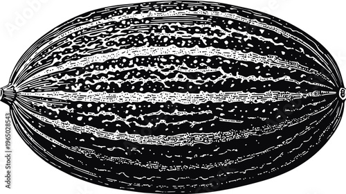 Black and white illustration of an oval-shaped fruit with textured skin and two tiny stems