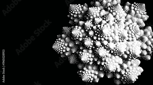 A striking black and white image displaying the fractal geometry of a vegetable