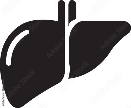 Human liver anatomical icon with internal division detail for medical healthcare design and digestive system education