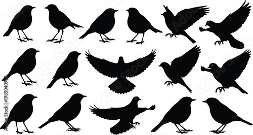 Various black silhouette birds, flying and perching, isolated vector illustration.