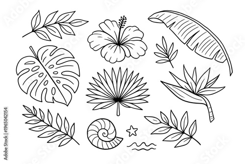 Hand drawn line art tropical plant elements set featuring monstera, palm, and banana leaves with hibiscus and plumeria flowers for summer designs and exotic decorations