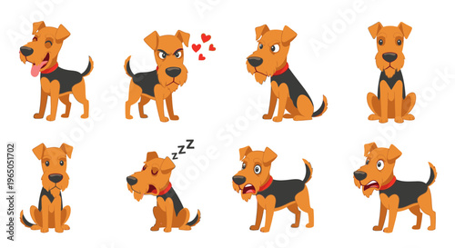 Airedale Terrier dog in various poses and emotions on white background  