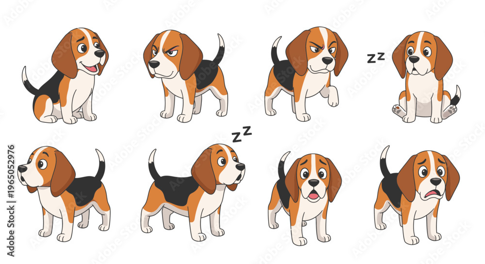 Obraz premium Cute beagle dog in various poses including playful and sleeping 