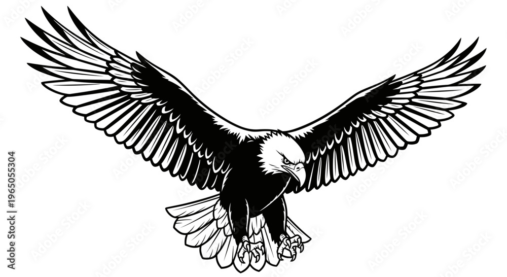 Obraz premium Bald eagle in flight, wings spread wide