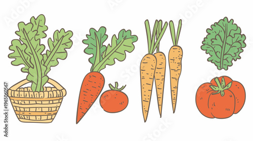 Stylized illustration of garden vegetables including carrots, lettuce, and tomatoes