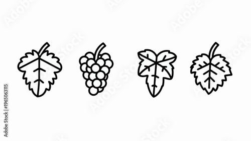 Four outlines show grape cluster and leaf variations in graphic style