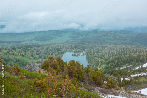 Scenic alpine top view from green lush thickets and coniferous trees on mount...