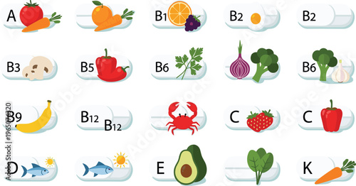 Vector illustration set of organic food sources for essential vitamins and minerals including fruits vegetables seafood and supplements for healthy nutrition and diet planning.