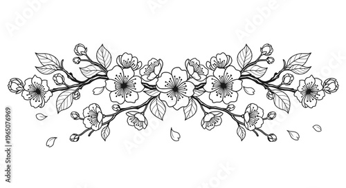 black and white cherry blossom branch