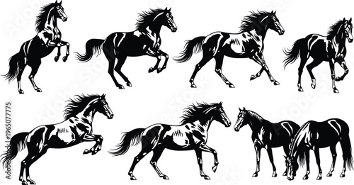 High quality black and white vector silhouette set of horses in various poses including running jumping galloping rearing and standing for graphic design.