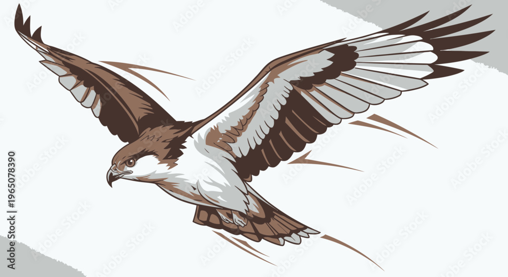 Fototapeta premium brown and white bird of prey in flight