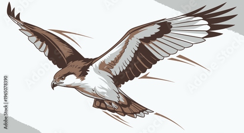 brown and white bird of prey in flight