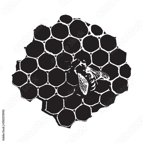 Silhouette of a bee on a honeycomb structure with hexagonal cells