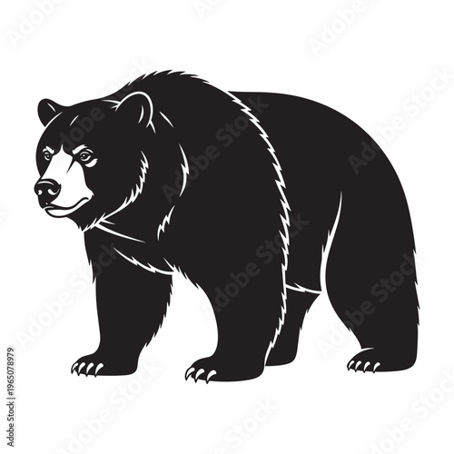 Black bear standing with claws out on transparent background