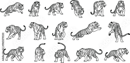 Vector set of black and white tiger illustrations in various dynamic poses including jumping, stalking, pouncing, and standing for wildlife nature branding.