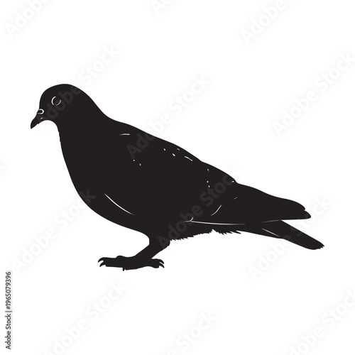 Black silhouette of a pigeon standing on transparent background
