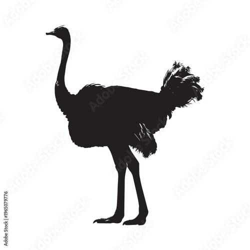 Black silhouette of an ostrich standing on transparent background