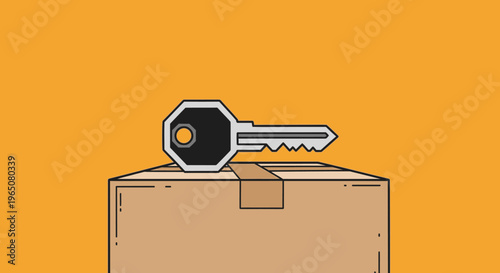 Cartoon style illustration of a silver key on a brown cardboard box, symbolizing secure delivery, problem-solving, or important package.