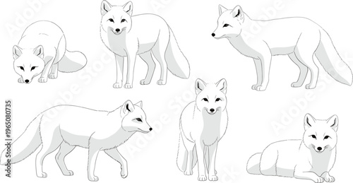 Vector set of minimalist Arctic fox line art illustrations in various poses including standing, walking, crouching, and lying down for wildlife branding.