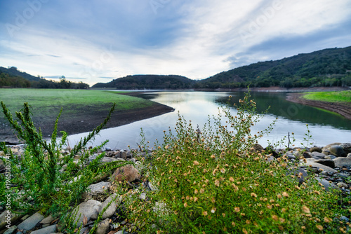 Calm lakeside landscape with smooth stones, fallen tree branch and fresh green plants in the foreground. Quiet water and rolling hills under a soft cloudy sky create a peaceful natural scene