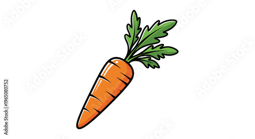 carrots isolated on white